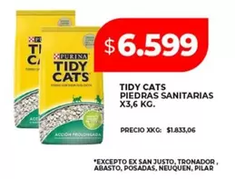 Pilar - TIDY CATS