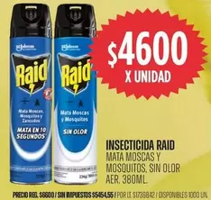 Raid - MATA MOSCAS Y MOSQUITOS, SIN OLOR