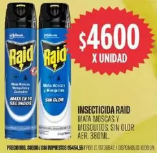 Raid - INSECTICIDA