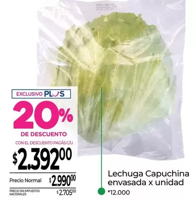 X$ - Lechuga Capuchina