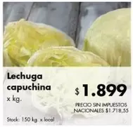 X$ - Lechuga capuchina