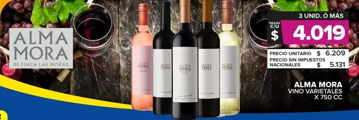 Alma Mora - Vino 