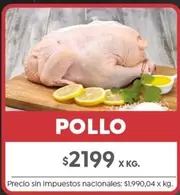 X$ - POLLO