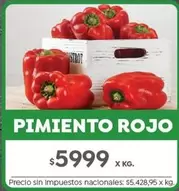 Rojo - PIMIENTO ROJO