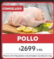 X$ - POLLO
