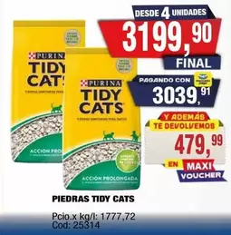 CAT - PIEDRAS TIDY S
