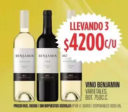 Benjamin - VINO BENJAMIN
