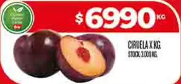 CIRUELA X KG