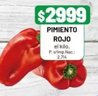 Rojo - PIMIENTO ROJO
