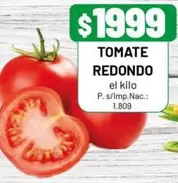 Redondo - TOMATE REDONDO