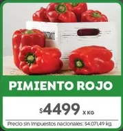 Rojo - PIMIENTO ROJO