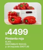 Rojo - Pimiento rojo