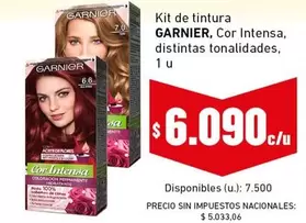 GARNIER - Cor Intensa, distintas tonalidades