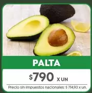 X$ - PALTA