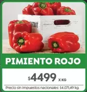 Rojo - PIMIENTO ROJO