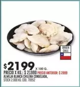 Origen - ALMEJA BLANCA CHILENA CONGELADA