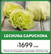 X$ - LECHUGA CAPUCHINA
