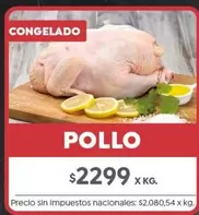 X$ - POLLO
