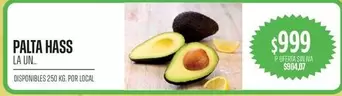 PALTA HASS
