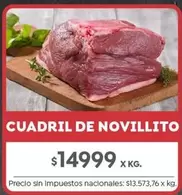 X$ - CUADRIL DE NOVILLITO