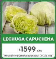 X$ - LECHUGA CAPUCHINA