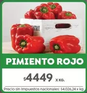 Rojo - PIMIENTO ROJO