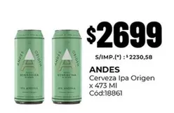 Andes - Cerveza Ipa Origen