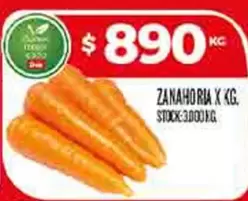 X$ - ZANAHORIA X KG.