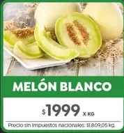 MELÓN BLANCO