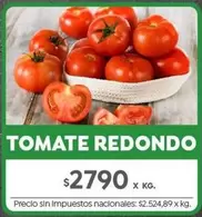 Redondo - TOMATE REDONDO