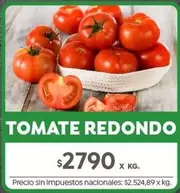 Redondo - TOMATE REDONDO