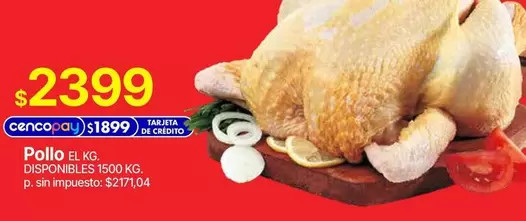 Pollo