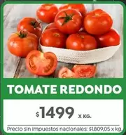 Redondo - TOMATE REDONDO