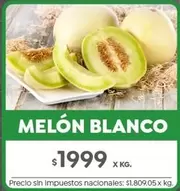 X$ - MELÓN BLANCO