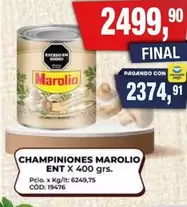 Marolio - CHAMPINIONES