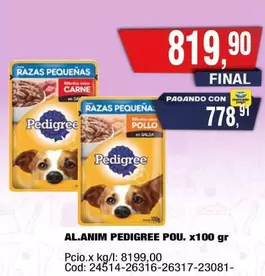 Pedigree - PEDIGREE POU. x100 gr