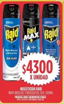 Raid - MATA MOSCAS Y MOSQUITOS