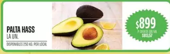 PALTA HASS
