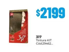 42 - 317 Tintura KIT