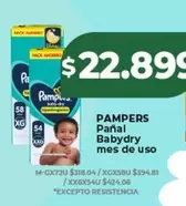 Pampers - Pañal Babydry