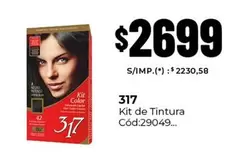 42 - Kit de Tintura 317