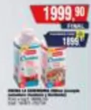 Danette - Sobremesa Cremosa