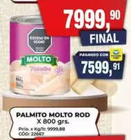 Molto - PALMITO ROD
