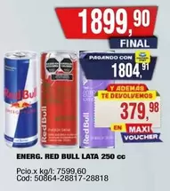 Red Bull - RED BULL LATA 250 cc