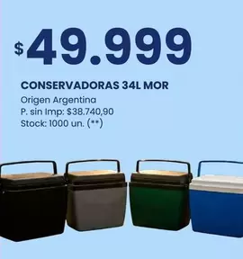 Mor - CONSERVADORAS 34L