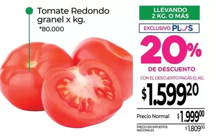 Redondo - Tomate