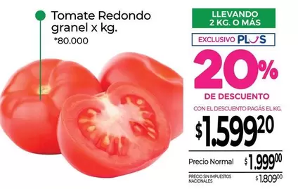 Redondo - Tomate