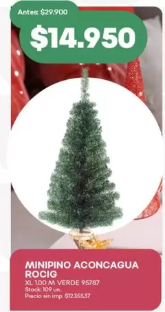 XL - MINIPINO ACONCAGUA ROCIG