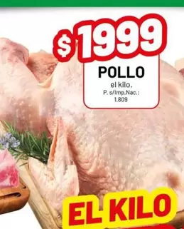 POLLO