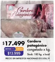 X$ - Cordero patagónico